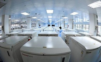 我國將制定臍帶血干細胞移植規(guī)范方案，推動技術開發(fā)與應用