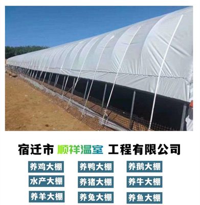 養(yǎng)殖專(zhuān)用黑白膜塑料農(nóng)用薄膜 助力現(xiàn)代化種植與溫室管理
