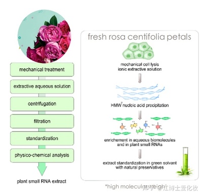植物提取物 化妝品中的智慧之選，還是營(yíng)銷(xiāo)噱頭？
